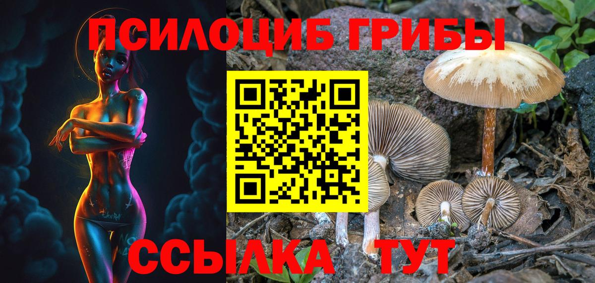 Псилоцибиновые грибы MAGIC MUSHROOMS  купить наркотики цена  Вход с VPN  Заволжье  Псилоцибиновые грибы мухоморы 